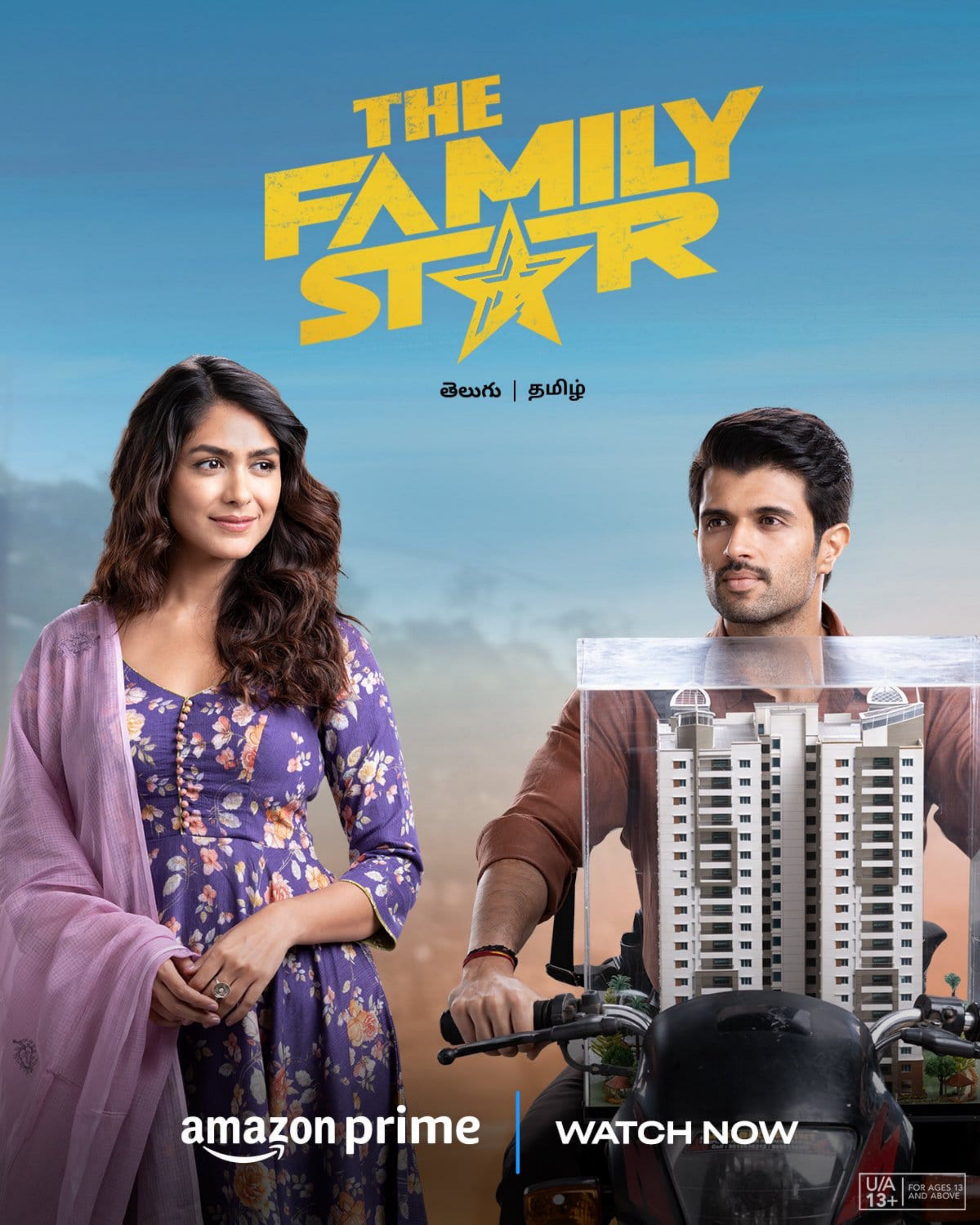 The Family Star poster