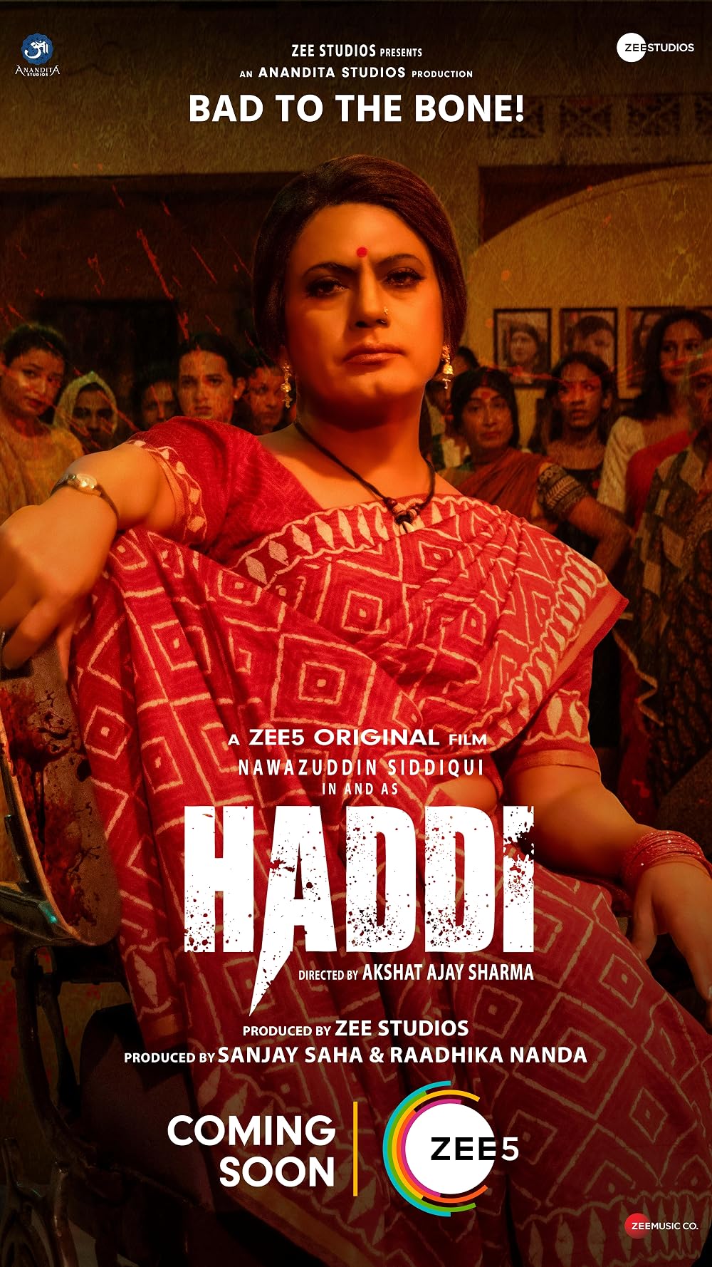Haddi poster