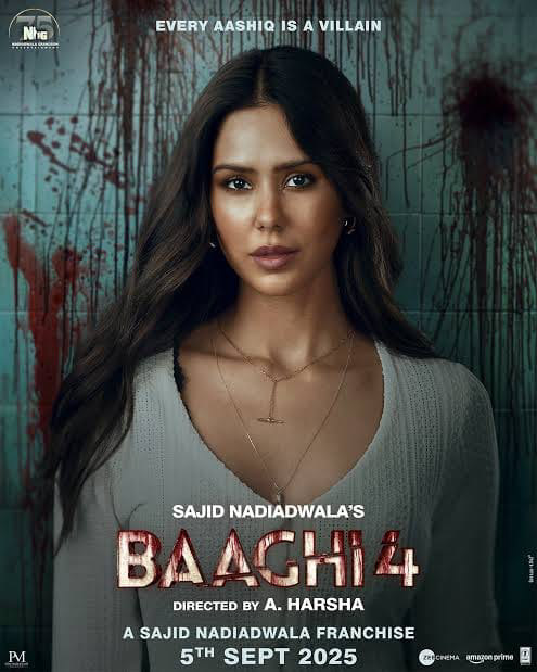 Baaghi 4 poster