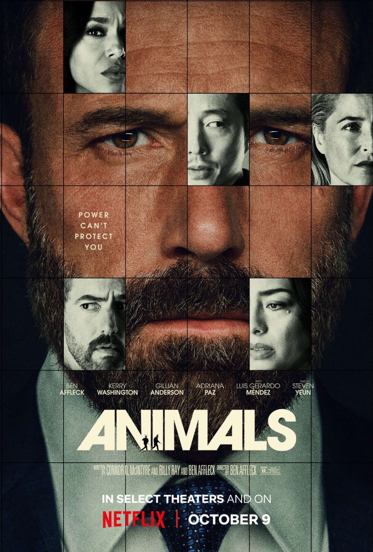 Animals poster