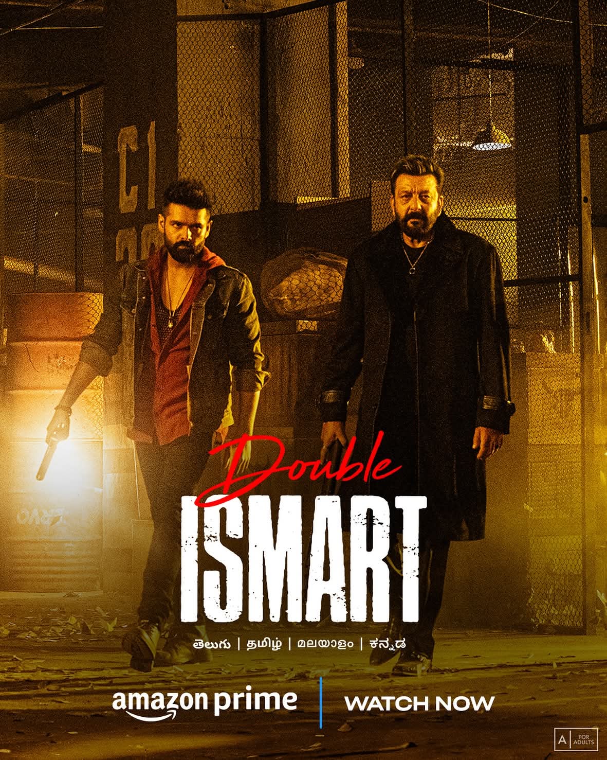 Double Ismart poster